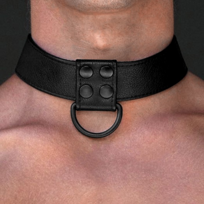 קולר BDSM להולכה | BLACK MATT COLLAR Whiplash