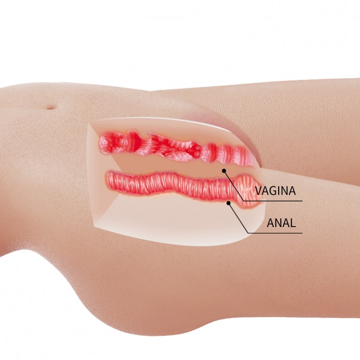 בובת גוף כבדה ויציבה לשני פתחים | Mia